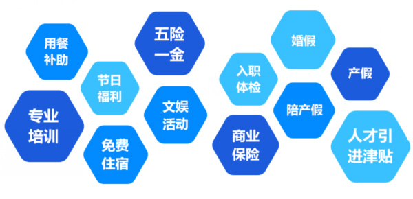 提供全面、系統(tǒng)、專業(yè)的培訓和廣闊的<br>職業(yè)發(fā)展空間和提升機會
