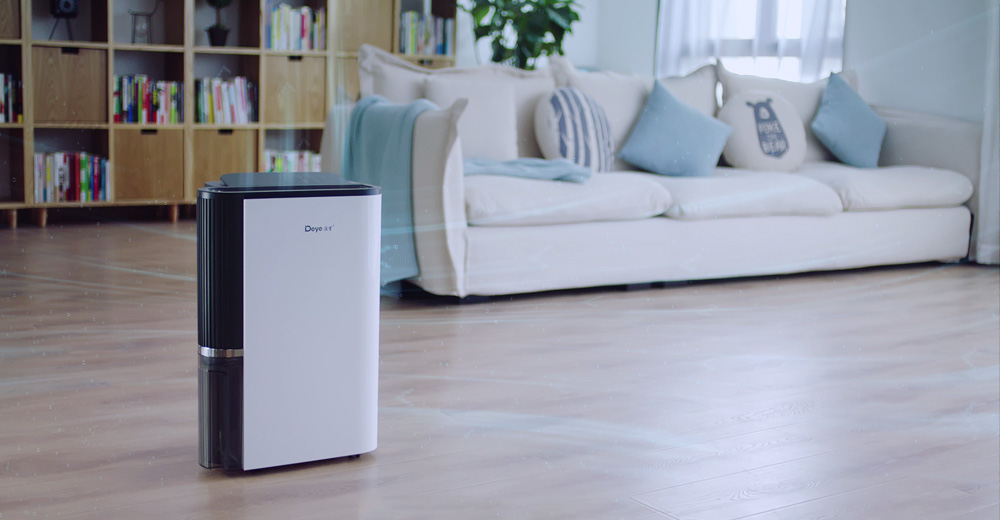 Deye T22 Dehumidifier